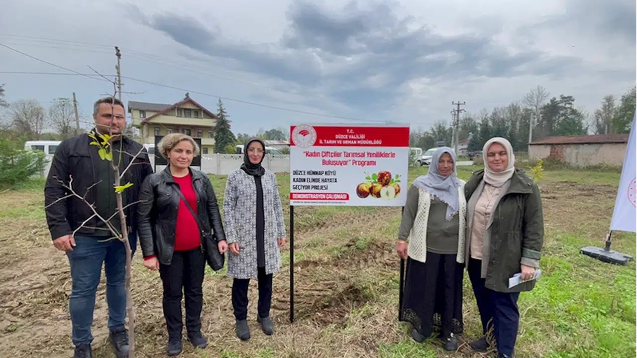 Düzce'de kadınların yetiştirdiği hünnabın ilk hasadı yapıldı