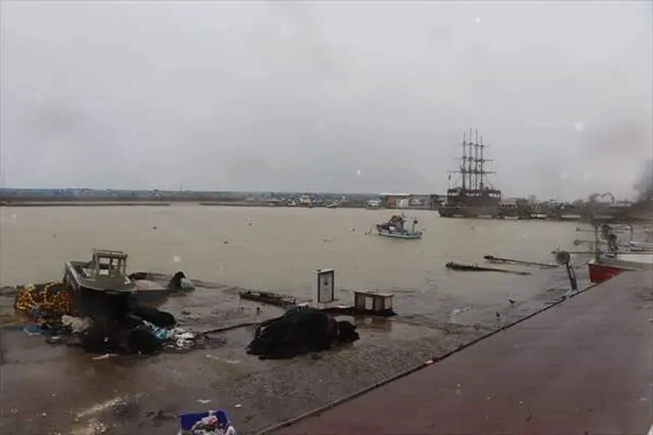 Düzce'de balıkçılar kuvvetli rüzgar nedeniyle denize açılamadı