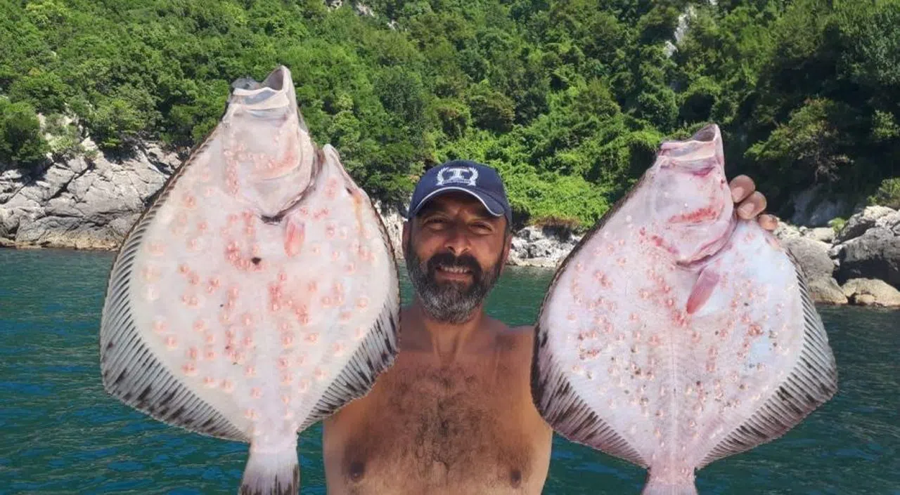 Zonguldak'da  Profesyonel Balıkçı 19 Metreye Daldı: Zıpkınıyla Avladı!