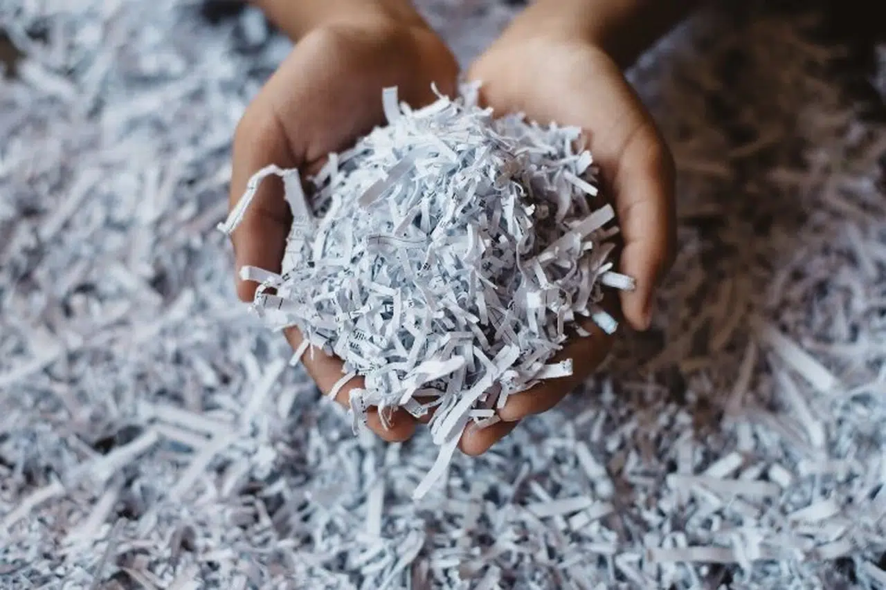 Bursa'da1433 ağaç kesilmekten kurtuldu!