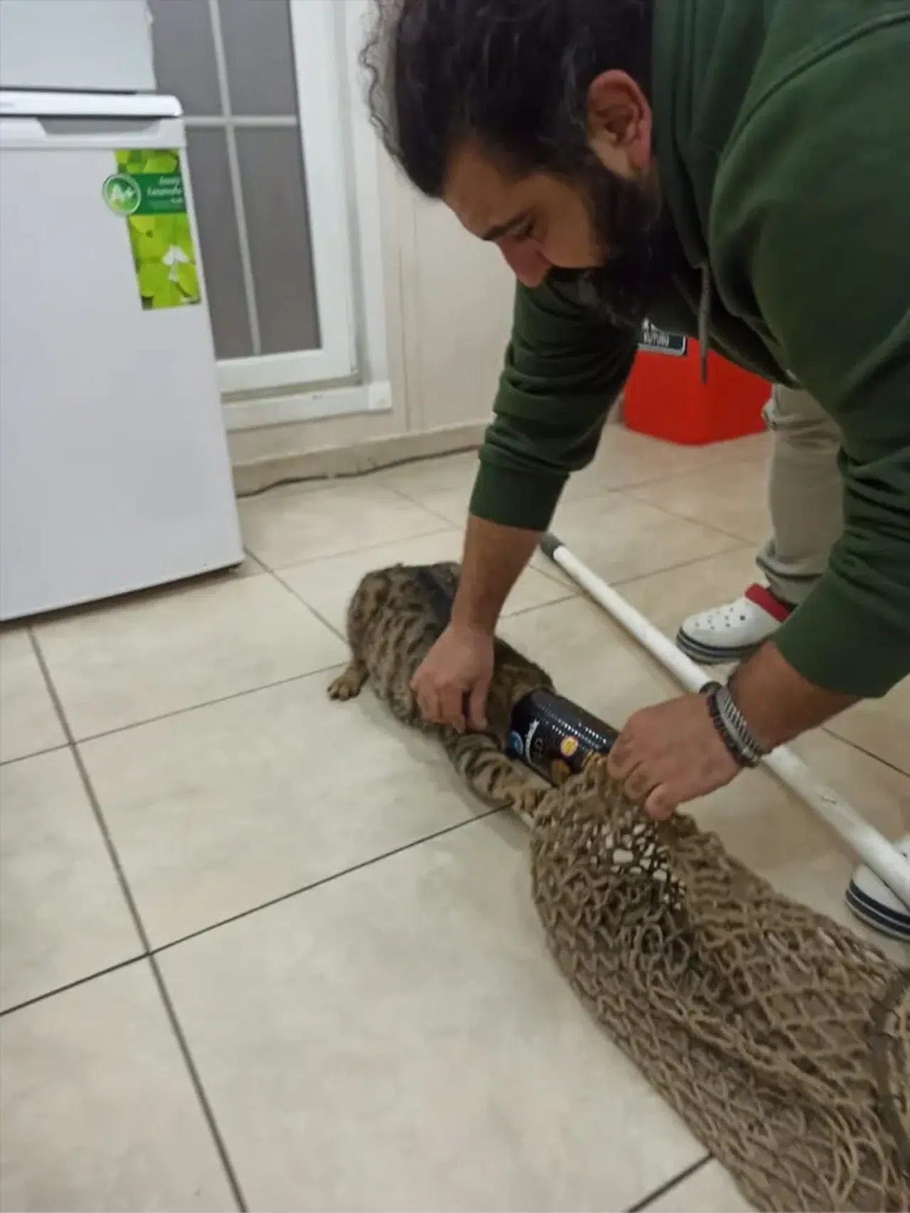 Trabzon'da başını teneke kutuya sıkıştıran kedi kurtarıldı