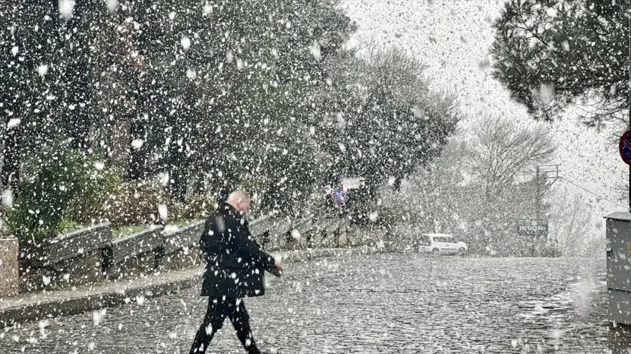 Karadeniz'de Kar Yağışı: 343 Yerleşim Yerinin Yolu Ulaşıma Kapandı
