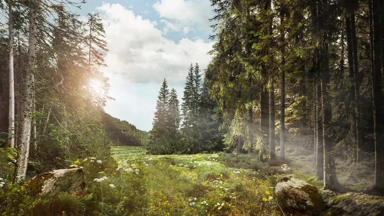 Ormanlar ve köyler ülkeye "ekoturizm" ile katkı sağlayacak