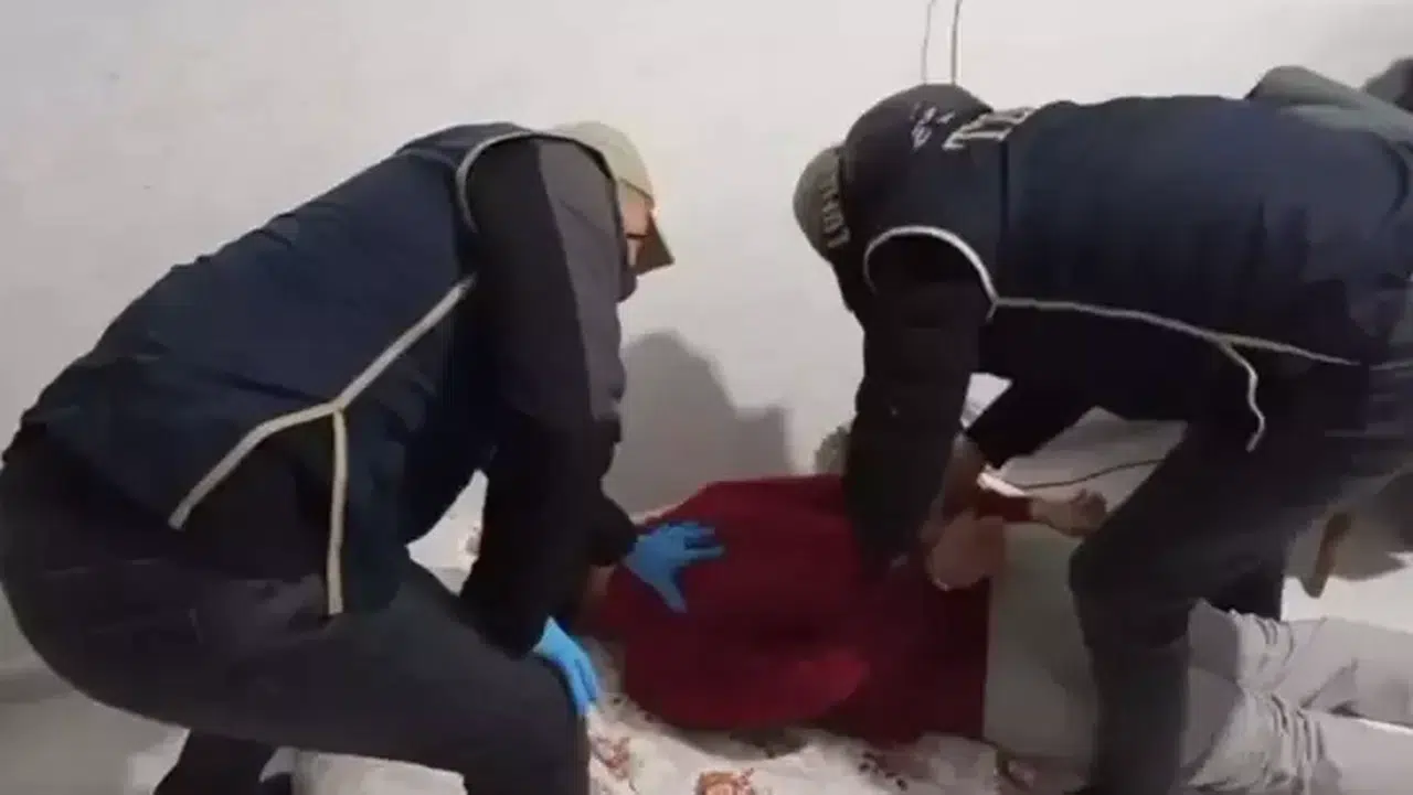 Terör örgütü PKK'ya Rize dahil 28 ilde operasyon: 165 gözaltı