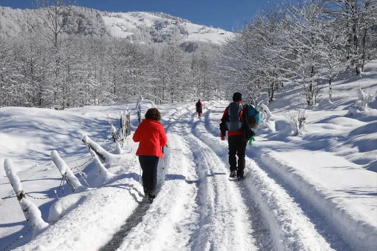 Trabzon'da doğaseverler Kadıralak Yaylası'na yürüyüş düzenledi