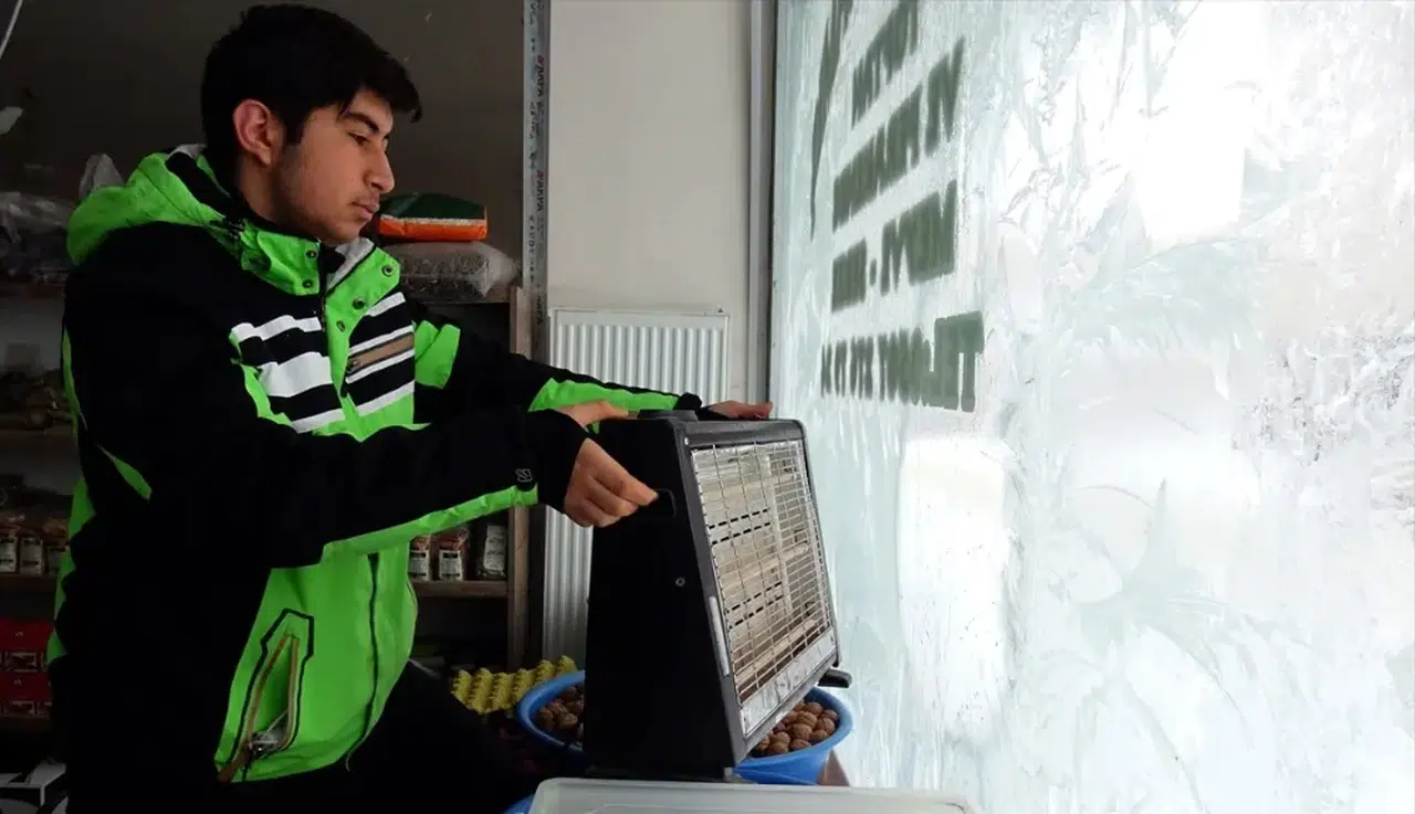 Erzurum, Ardahan, Iğdır, Kars ile Ağrı'da kar ve soğuk hava etkisi