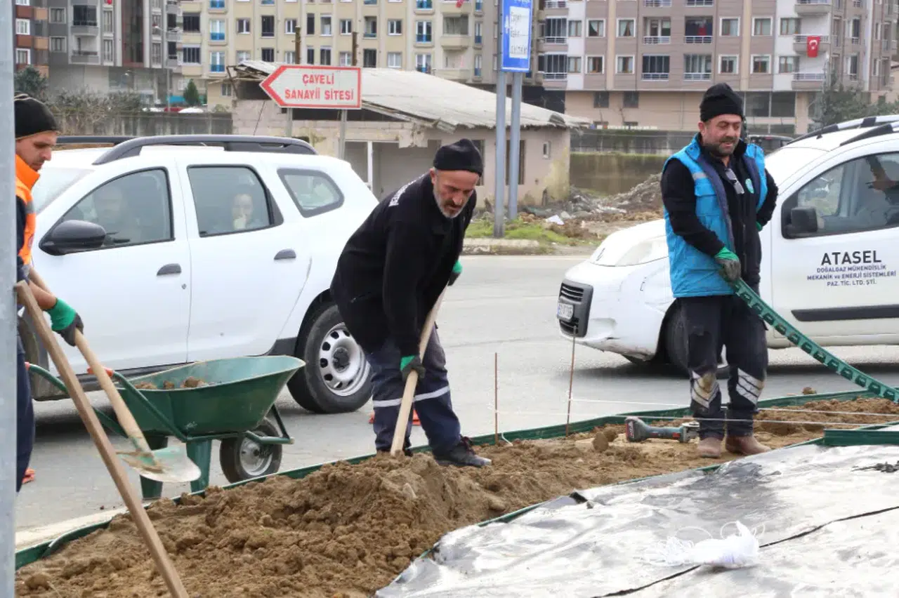 Çayeli'ne Çaylı Karşılama: Giriş Kavşağı Restore Ediliyor!