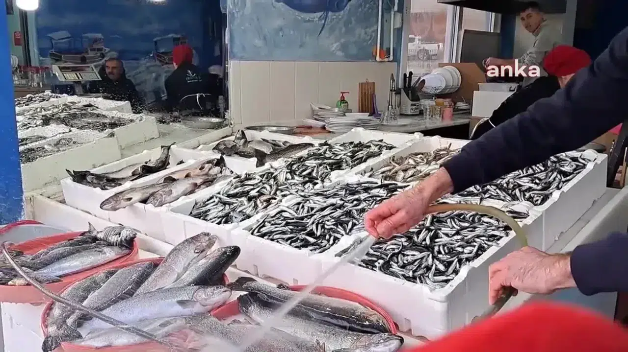 ARTVİN KEMALPAŞALI BALIKÇI: "FİYATLAR YÜKSEK, HALKIN TALEBİ YÜZDE 50 DÜŞTÜ. DAHA ÇOK GÜRCÜLERE SATIŞ YAPIYORUZ