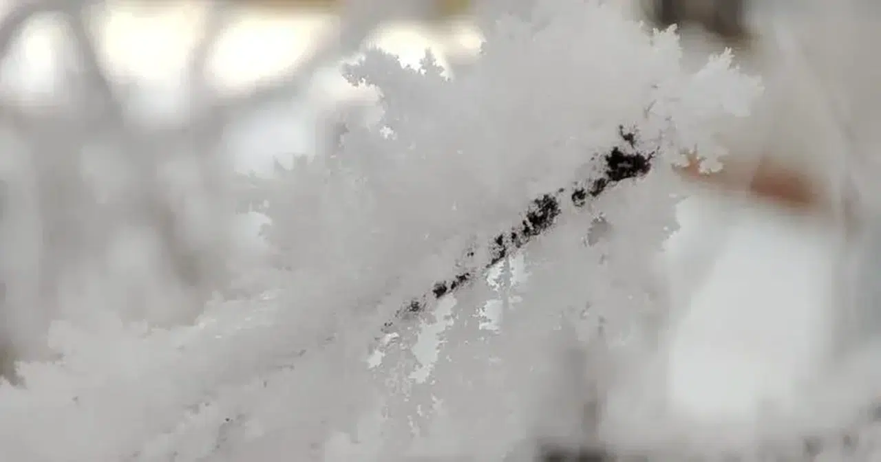 Erzurum'da Kar Yağışı ve Dondurucu Soğuklar: Şehir Buz Kesildi