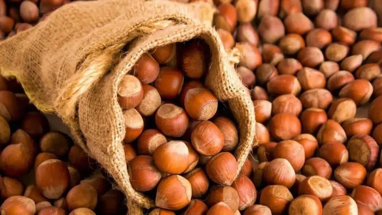 Trabzon Ticaret Borsası'nda Levant Kalite Fındık Fiyatları