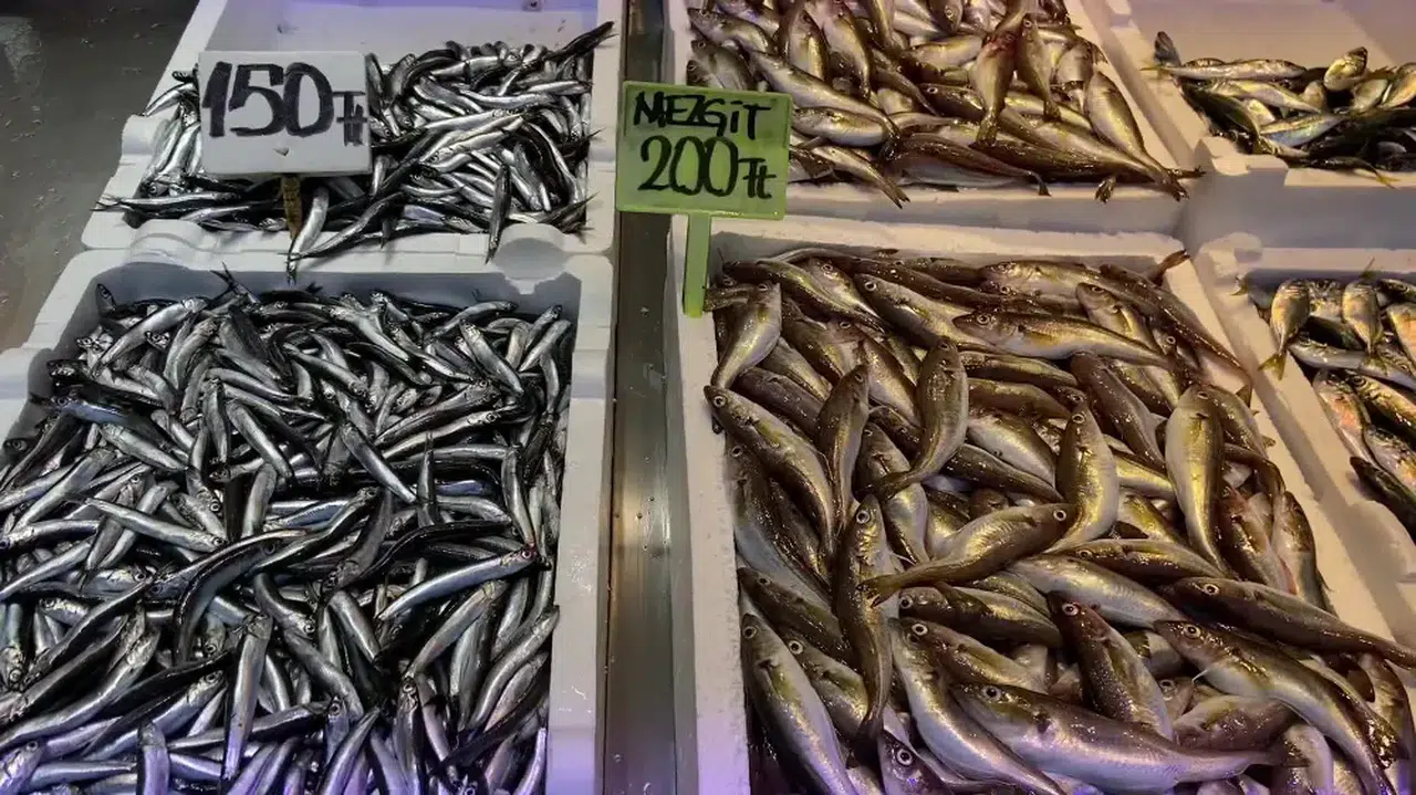 TRABZONLU VATANDAŞ BALIK FİYATLARINA TEPKİ GÖSTERDİ: "BAKMAKLA YETİNECEĞİZ HERHALDE"