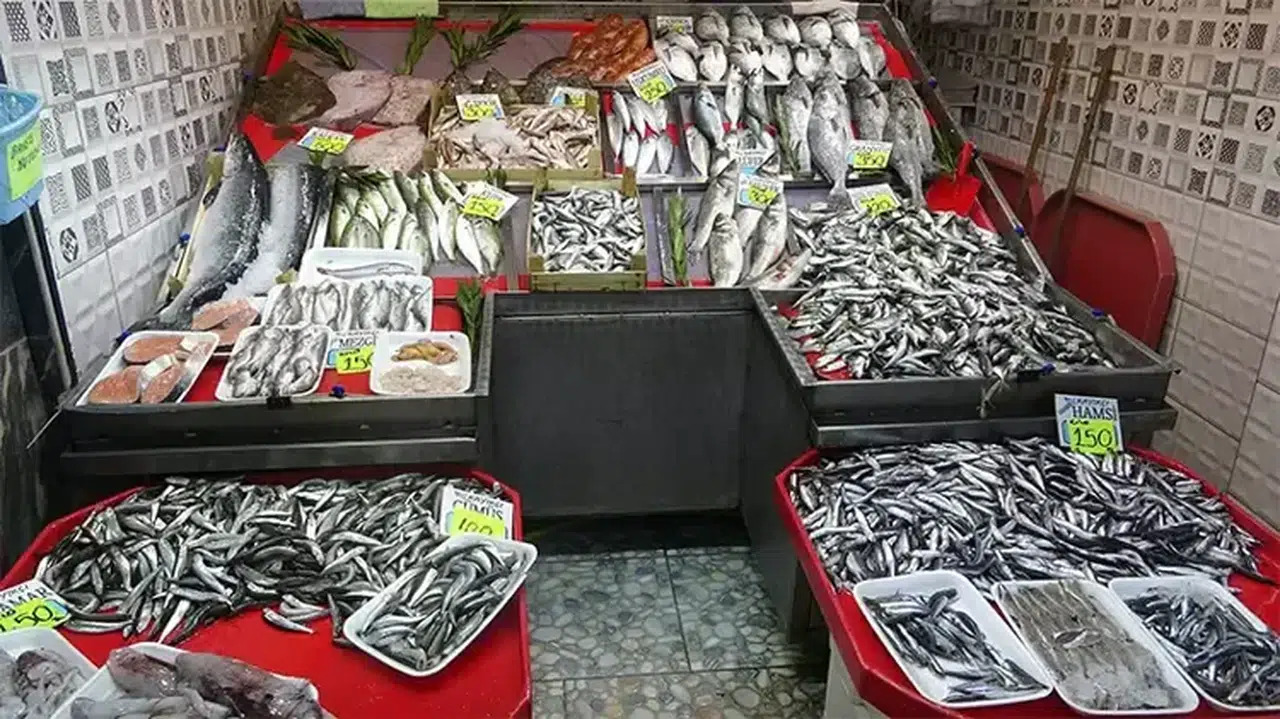 Av yasağı sonrası Marmara Denizi'nde hamsi bolluğu