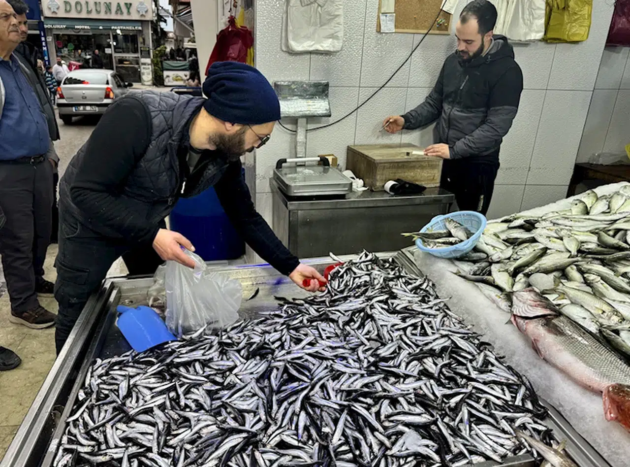 Karadeniz'de ağlara takılan hamsi kilogramı 150 liradan satılıyor