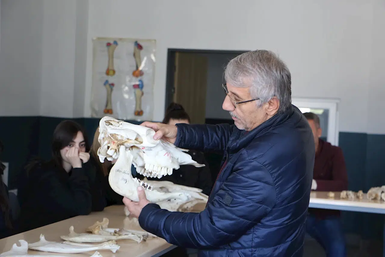 Liseliler maket modeller ile hayvan sağlığını öğreniyor / Ek fotoğraflar