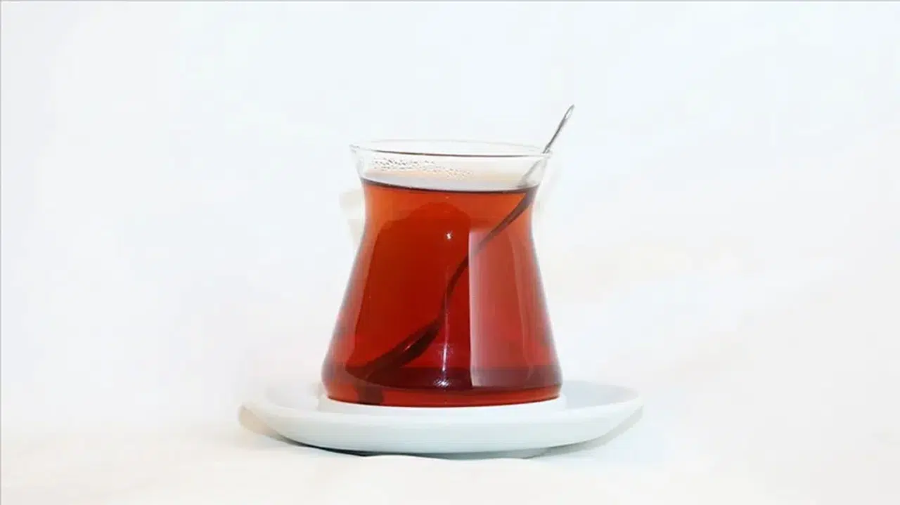 Rizeli çay demleme ustaları Japonlara Türk çayı demlemenin püf noktalarını öğretecek