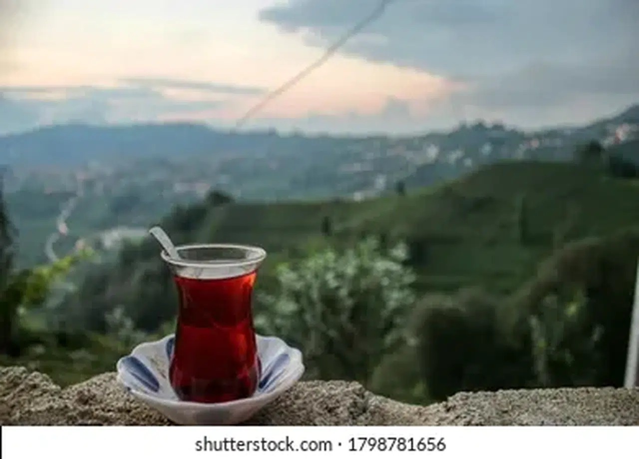 Rizeli Çay üreticisi Çaykur'un o iki markasını önerdi