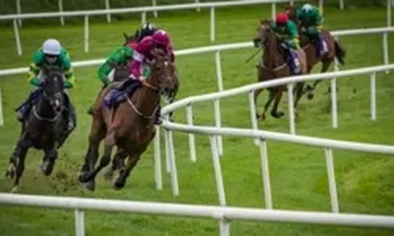 Adana Altılı Ganyan Banko Tahminler! 10 Şubat 2024 Adana Yarış Programı ve Tahminler!