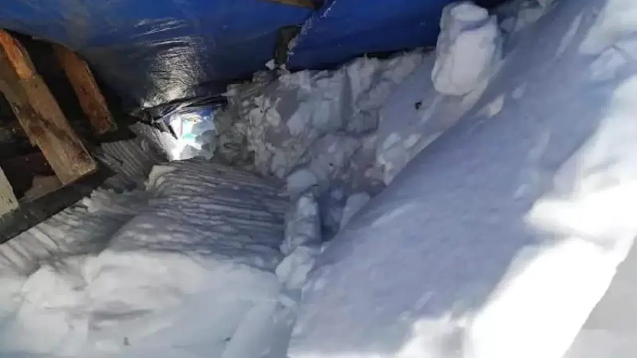 'Sakin şehir' Şavşat'ta 'kar' rekoru