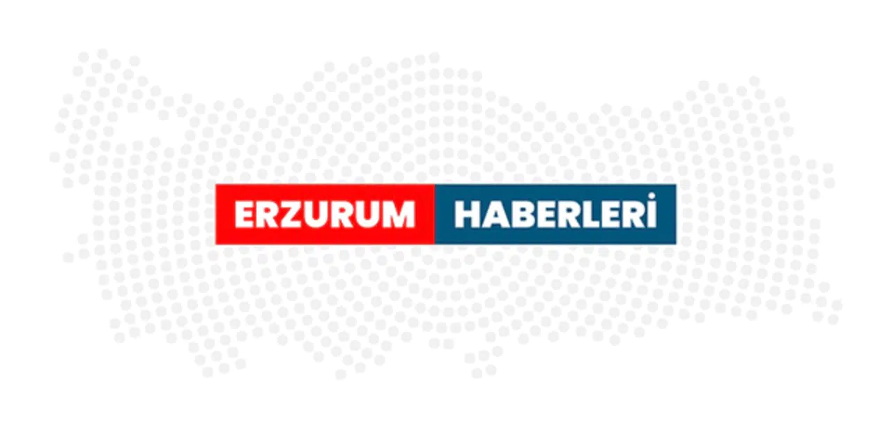 Erzurum'da tırla yayaya çarparak ölümüne neden olan sürücünün yargılanmasına devam edildi