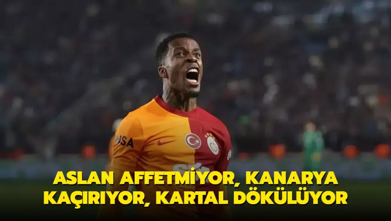 Aslan affetmiyor, Kanarya kaçırıyor, Kartal dökülüyor