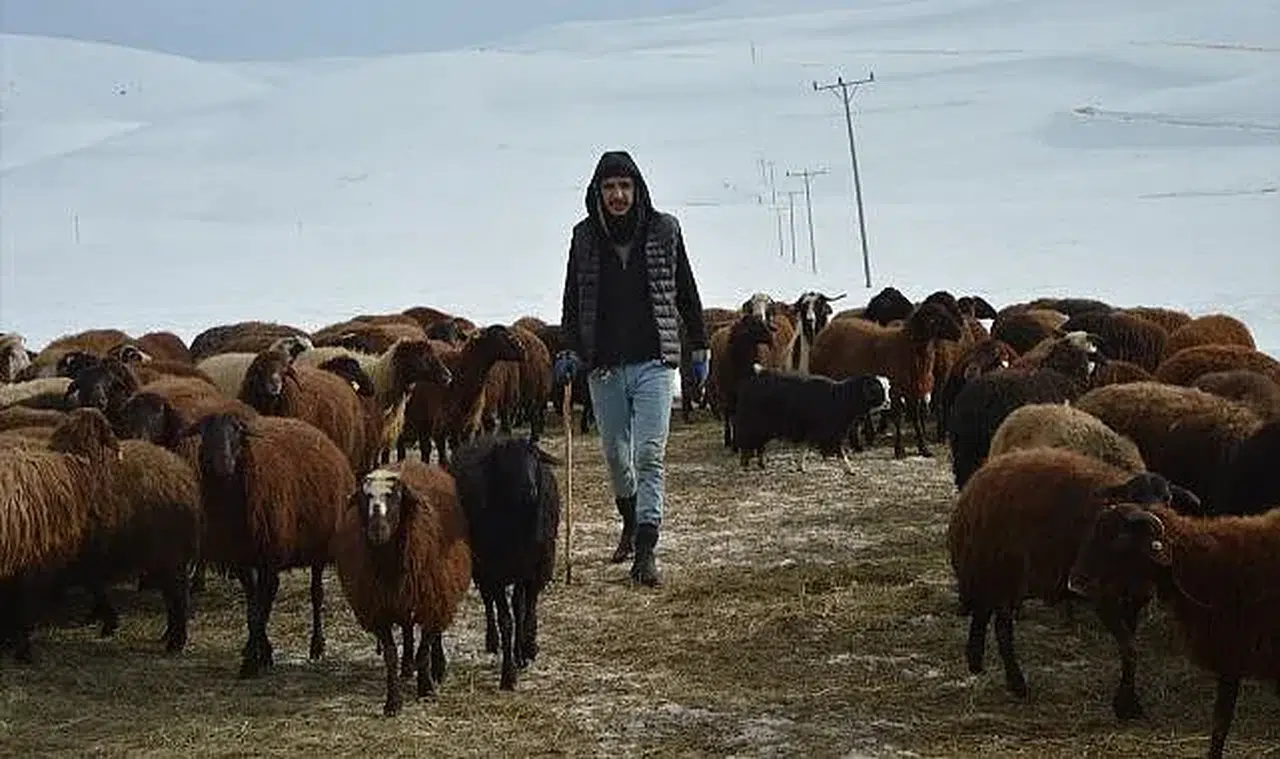 Erzurum'da besicilerin yüzleri güldü