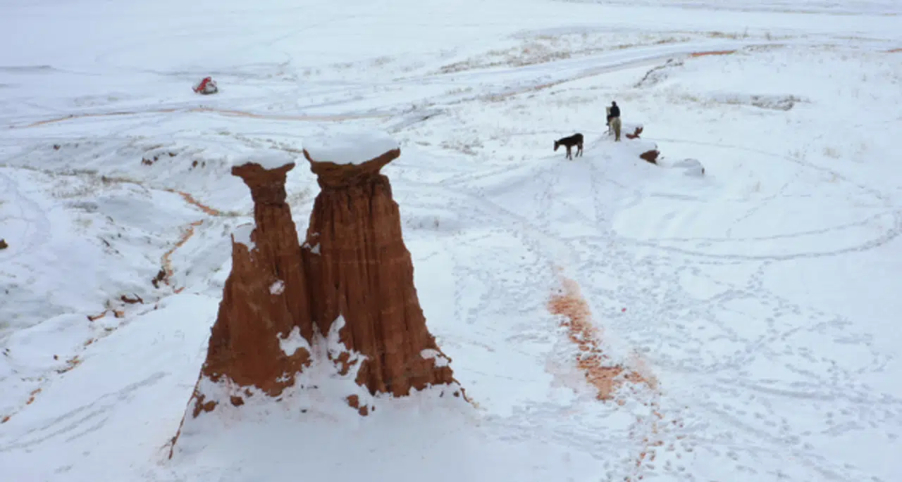 Erzurum'daki Narman Peribacaları'nda kar üstünde dörtnala gezi