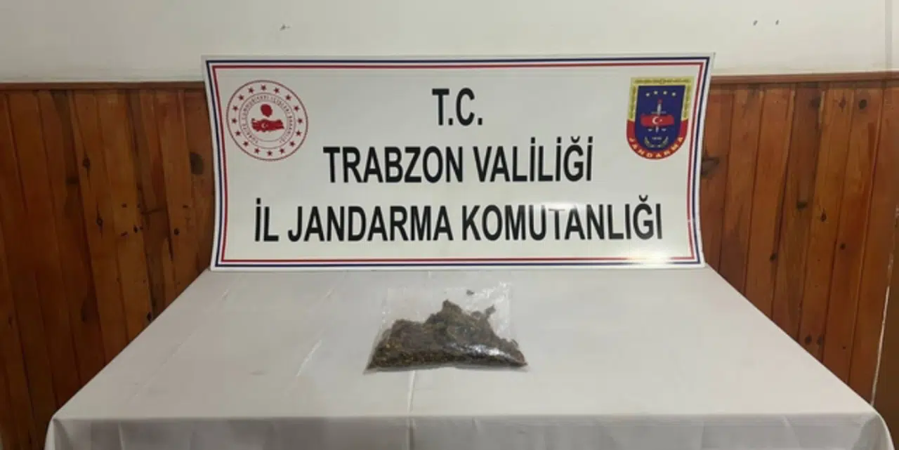 Trabzon'da jandarma ekiplerince uyuşturucu operasyonu düzenlendi