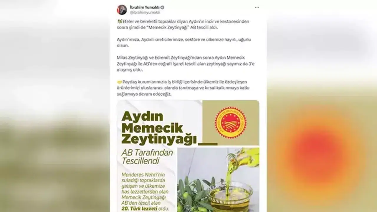 Aydın memecik zeytinyağı, AB'den coğrafi işaret tescili aldı