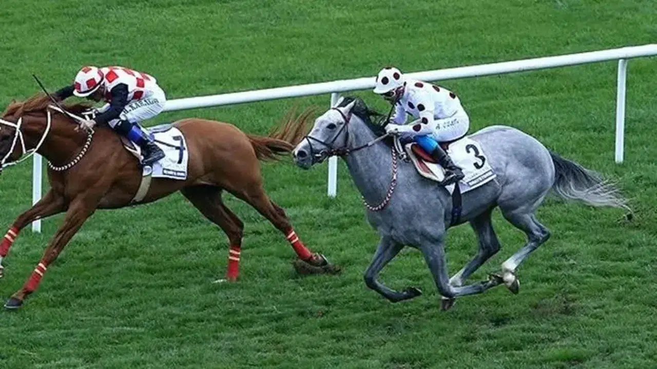 8 Şubat Perşembe İzmir At Yarışı Tahminleri!