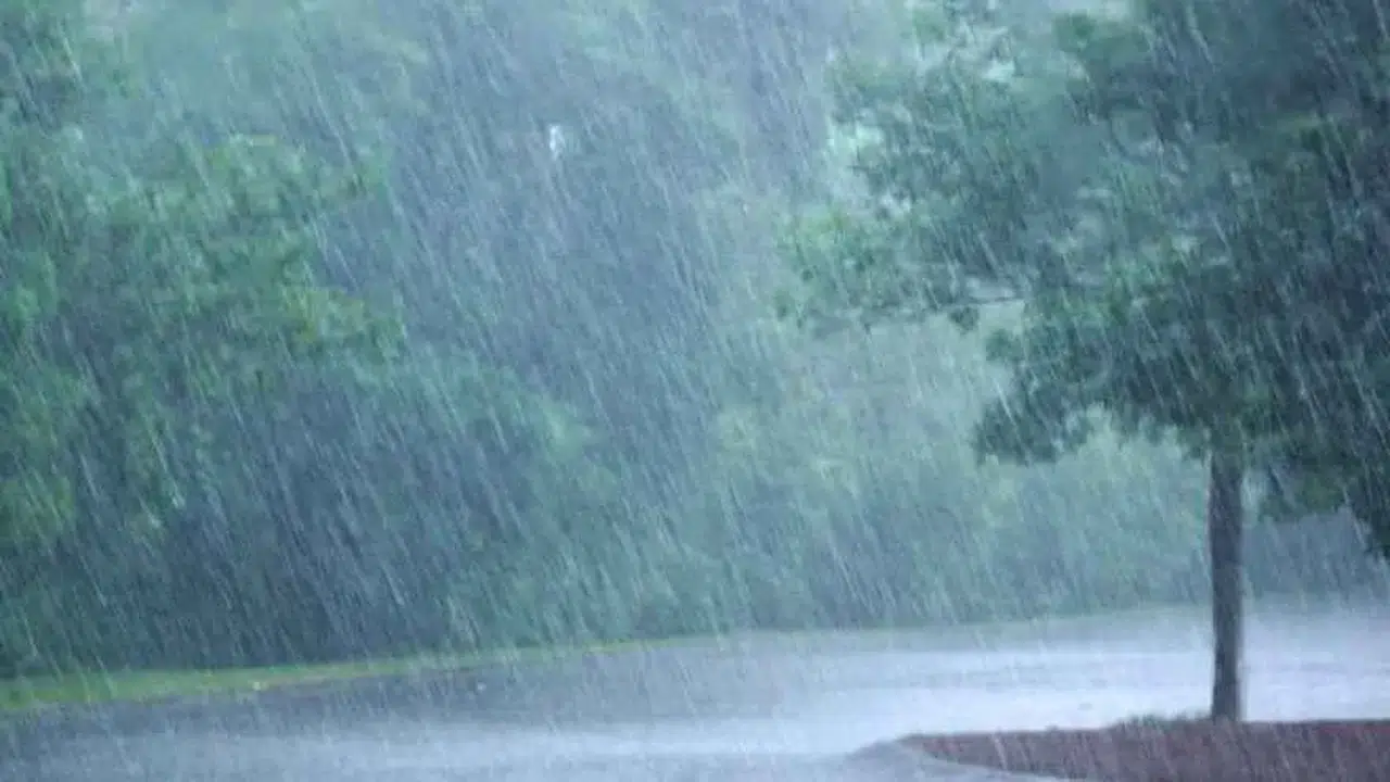 Meteoroloji'den Rize 15 il için sarı kodlu uyarı