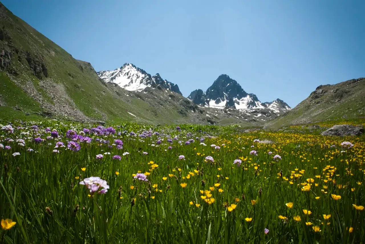 Rize'de Doğanın Mucizeleri: Ayder Yaylası ve Kaçkar Dağları Milli Parkı