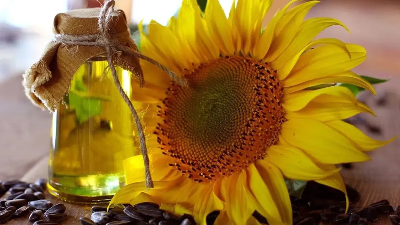 Ayçiçek Yağı 2'li Alımlarda Aklınızı Alacak Kadar Uygun!