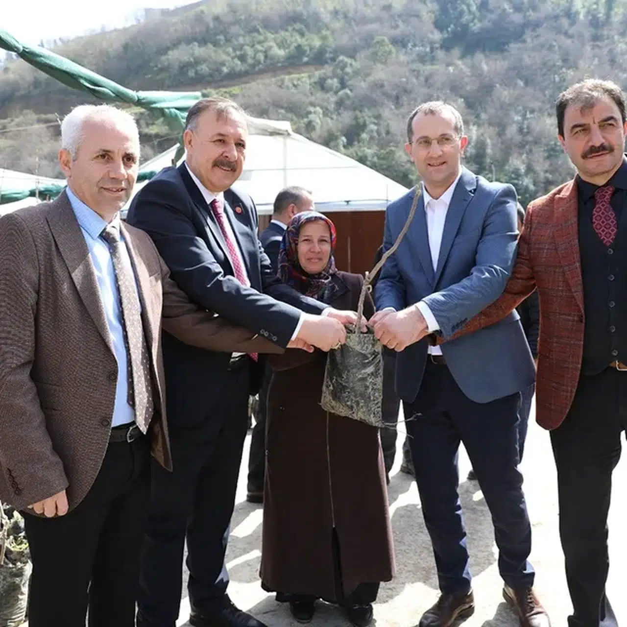 Akçaabat'ta çiftçilere ücretsiz meyve fidanı