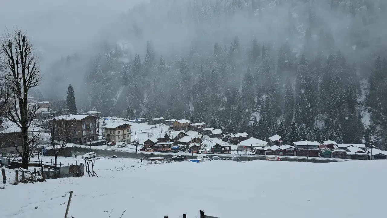 Rize'nin yüksek kesimlerine kar yağdı