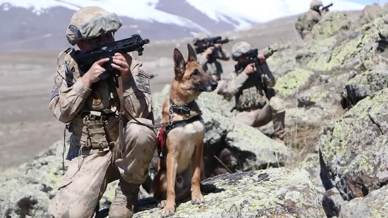 Kırsalda Mehmetçik'in yakın dostu, teröristlerin korkulu rüyası 'Yıkı'