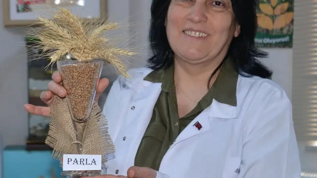 Tarım sektörü 'Parla' ile parlayacak