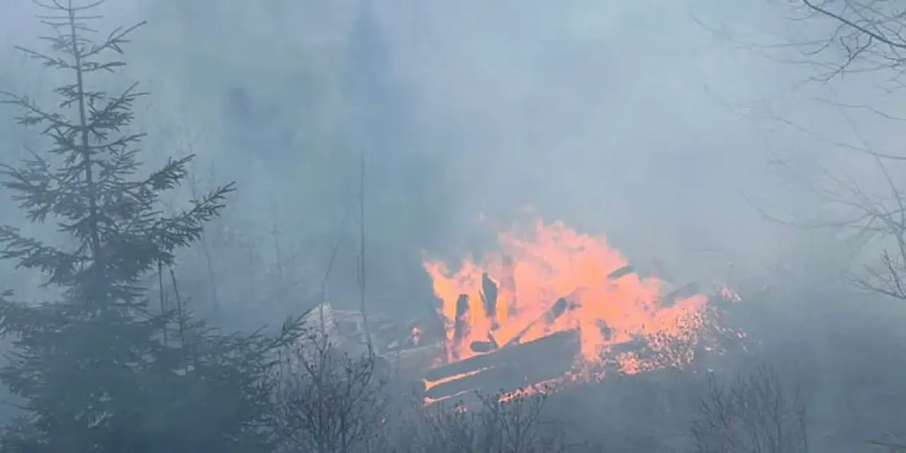 Trabzon'da yangın! Evde başlayıp ormana sıçradı