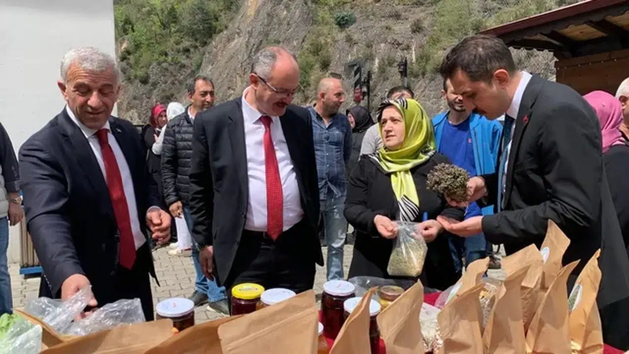 Çaykara'da ata tohumu takası gerçekleştirildi