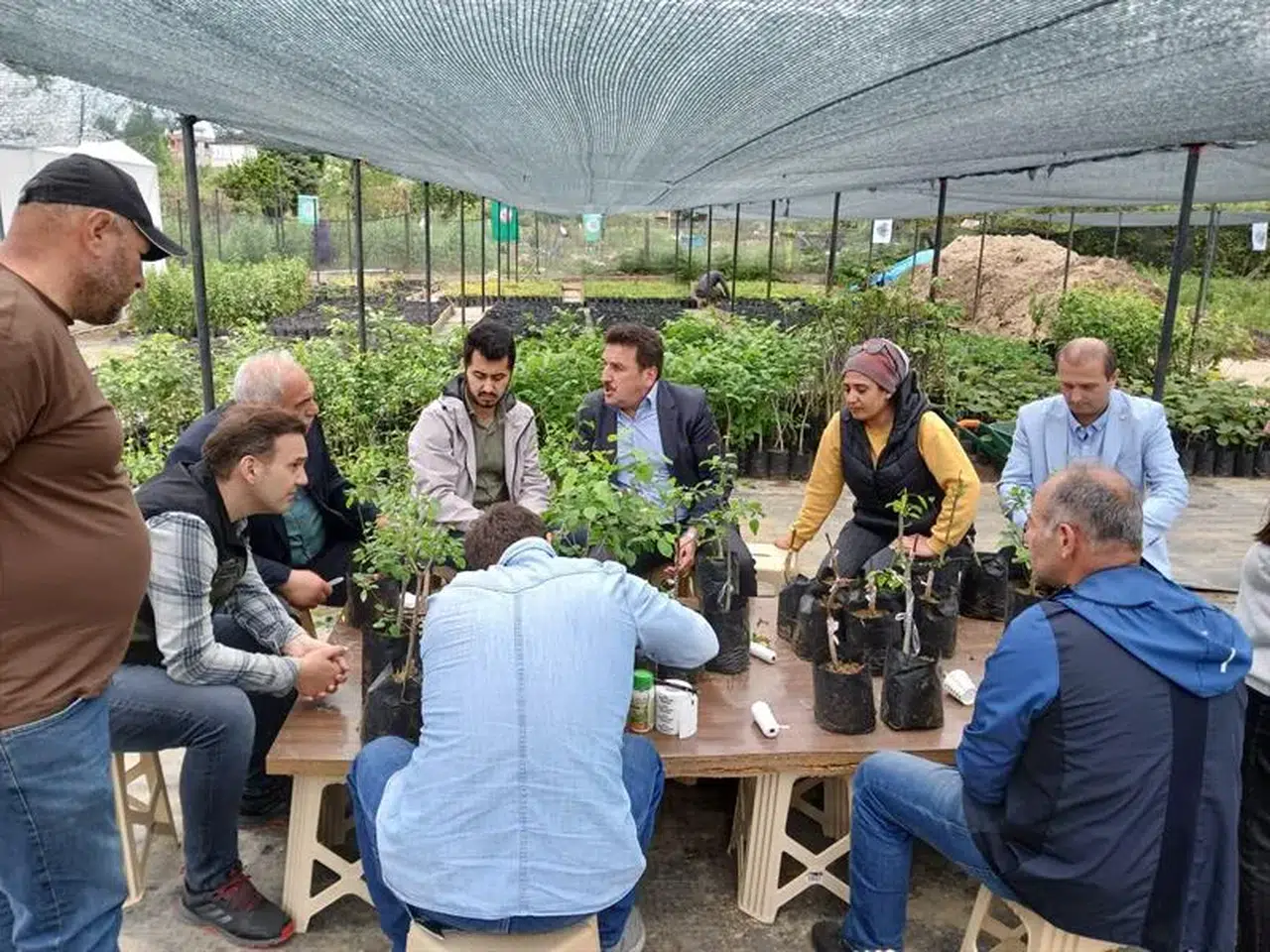 İlçe Tarım Müdürlüğünce Ardeşen'de meyve aşılama etkinliği düzenlendi