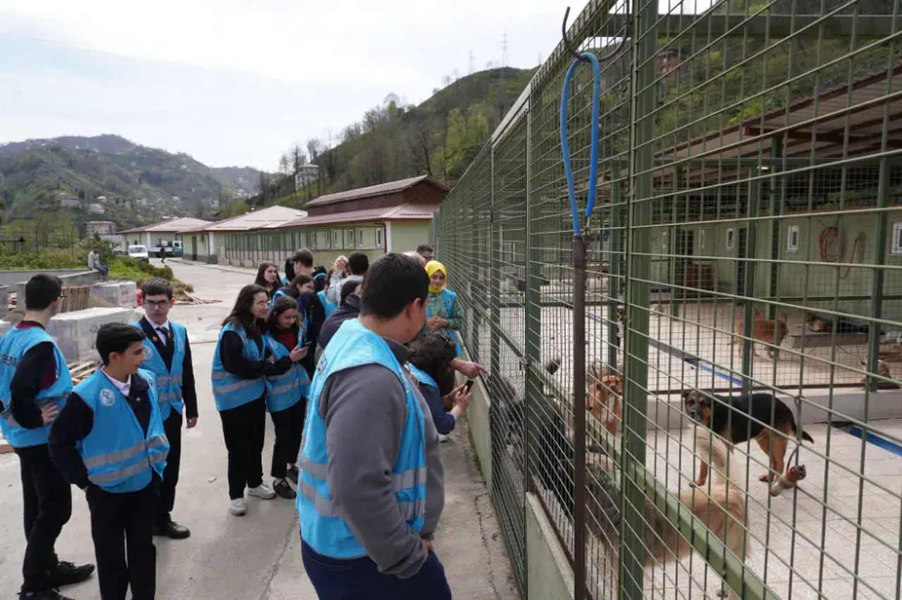 RİBEGEM'den sokak hayvanlarına ziyaret