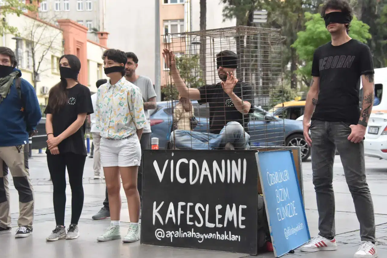 Yer İzmir:Hayvanseverlerden 'kafes' eylemi