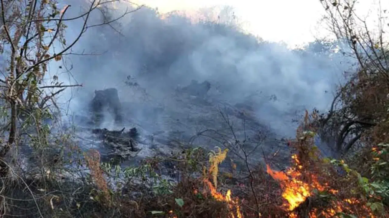 Karadeniz'de kuraklık etkisi; orman yangınlarında artış tehlikesi