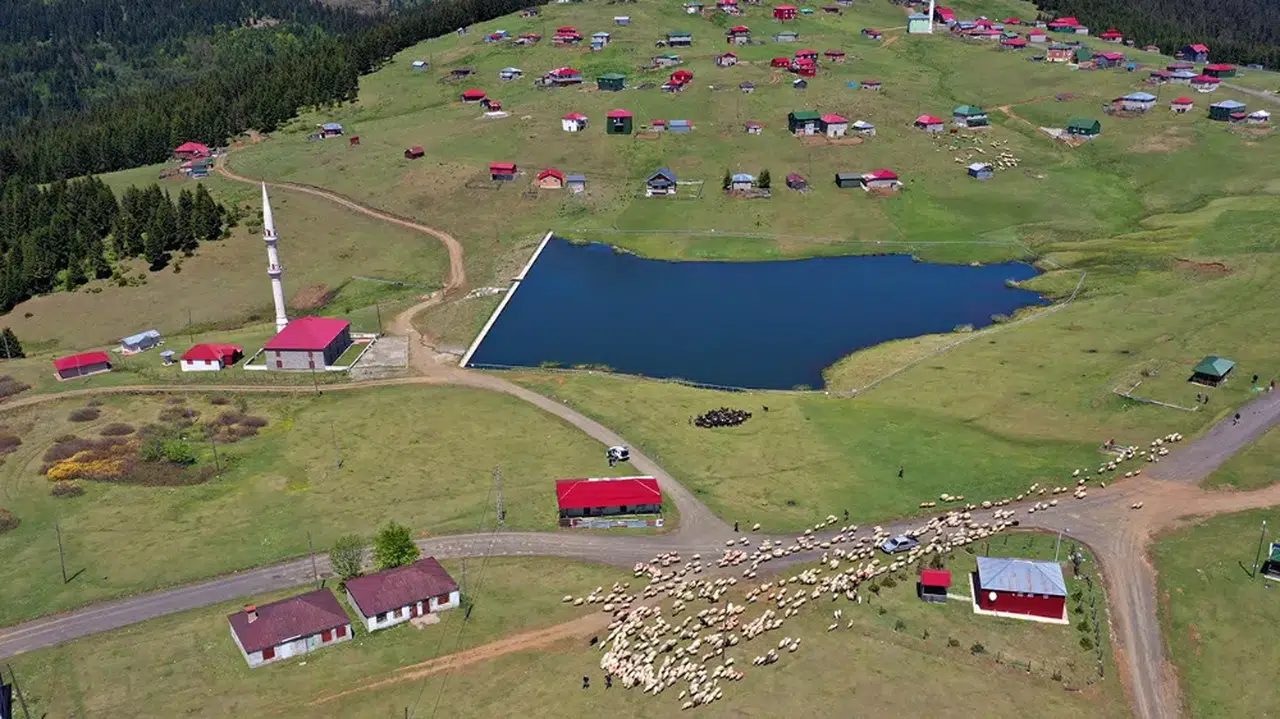 Doğu Karadeniz yaylalarına göç başladı
