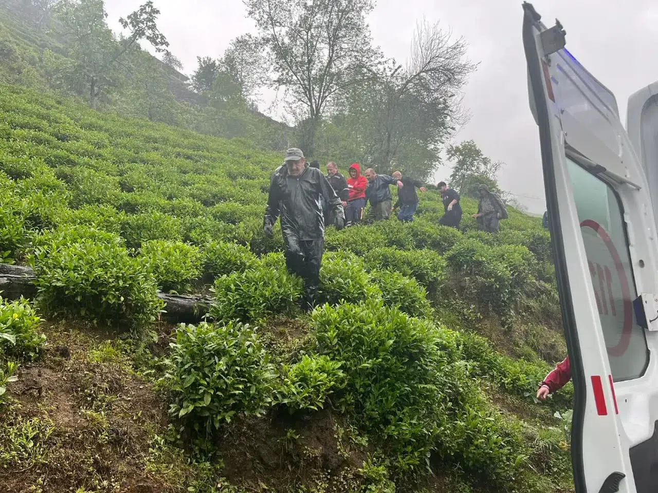 Rize'de yaş çay bahçesinde yamaçtan düşen kişi yaralandı