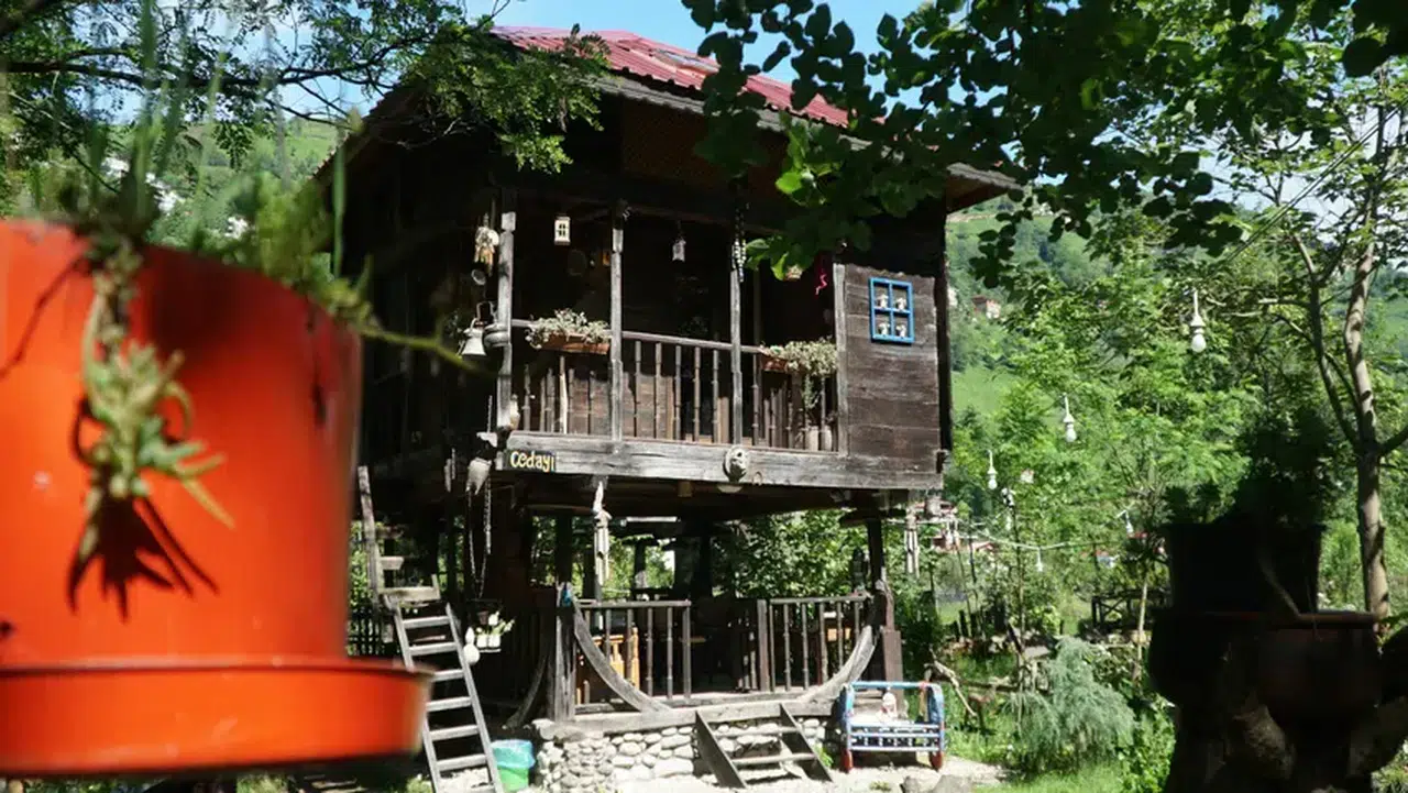 Rize'nin serendileri otel odasına dönüştü: 'Koruma altına aldık'