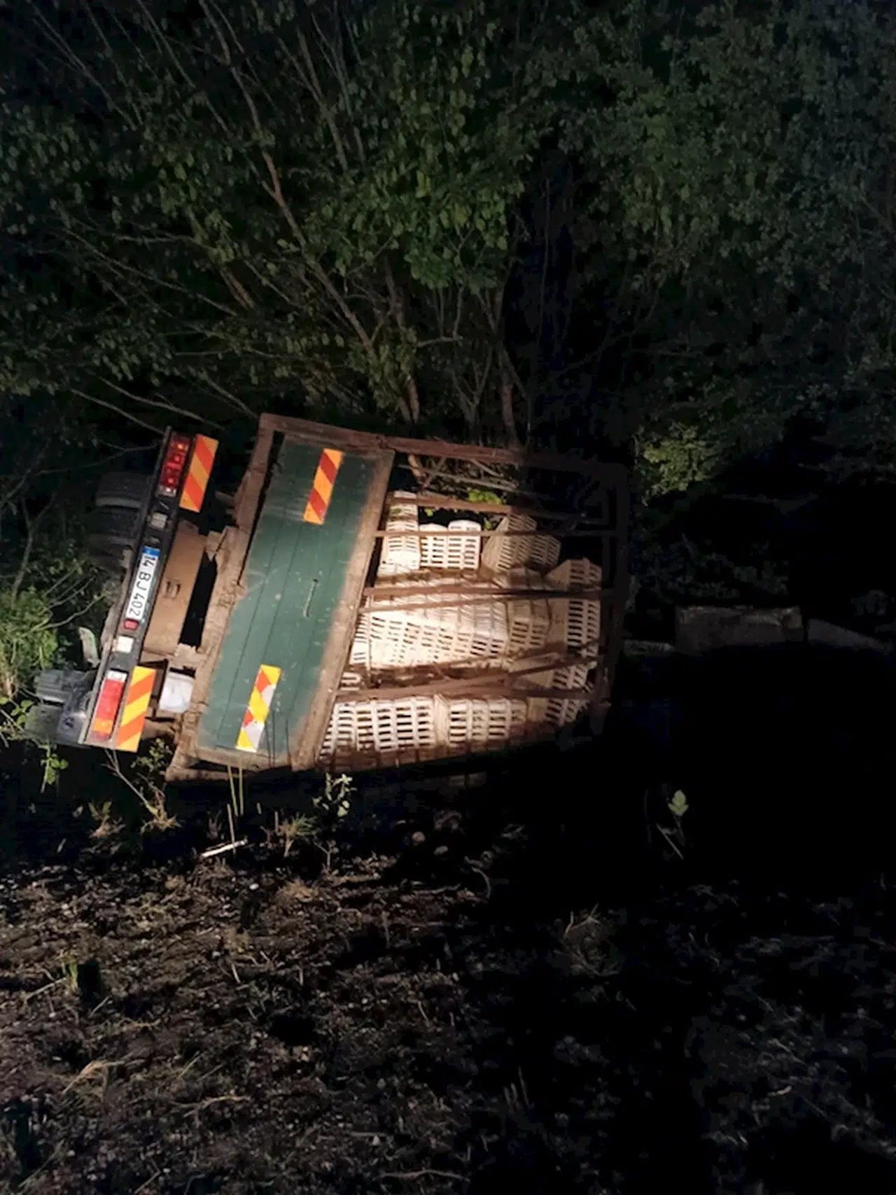 Şarampole devrilen canlı tavuk yüklü kamyonun sürücüsü yaralandı; onlarca tavuk da öldü