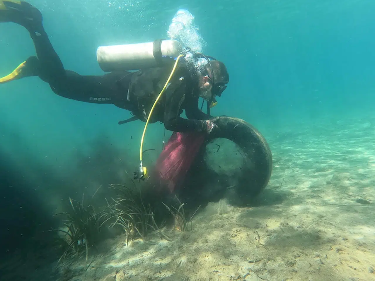 Bodrum'da denizden 2,5 ton çöp çıktı