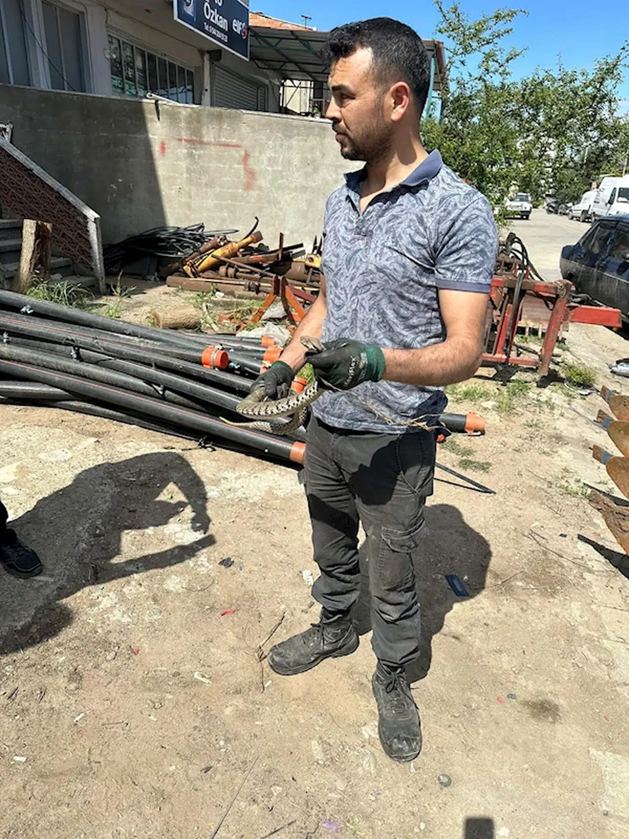 Sanayiye getirilen traktördeki su borusundan zehirli engerek yılanı çıktı