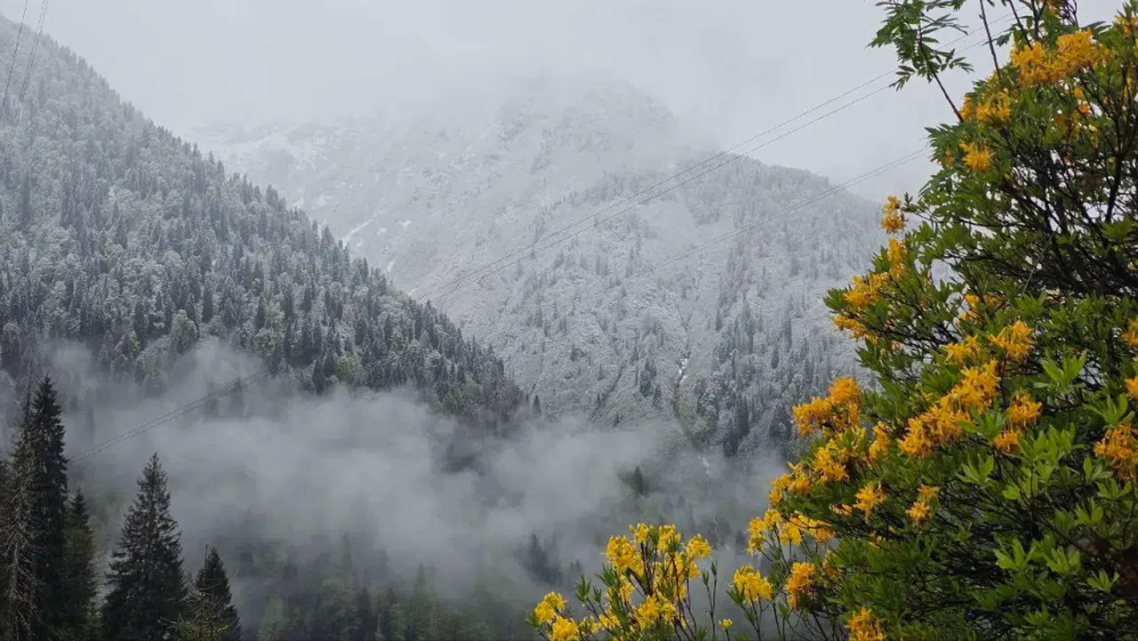 Rize'nin yüksek kesimleri karla kaplandı