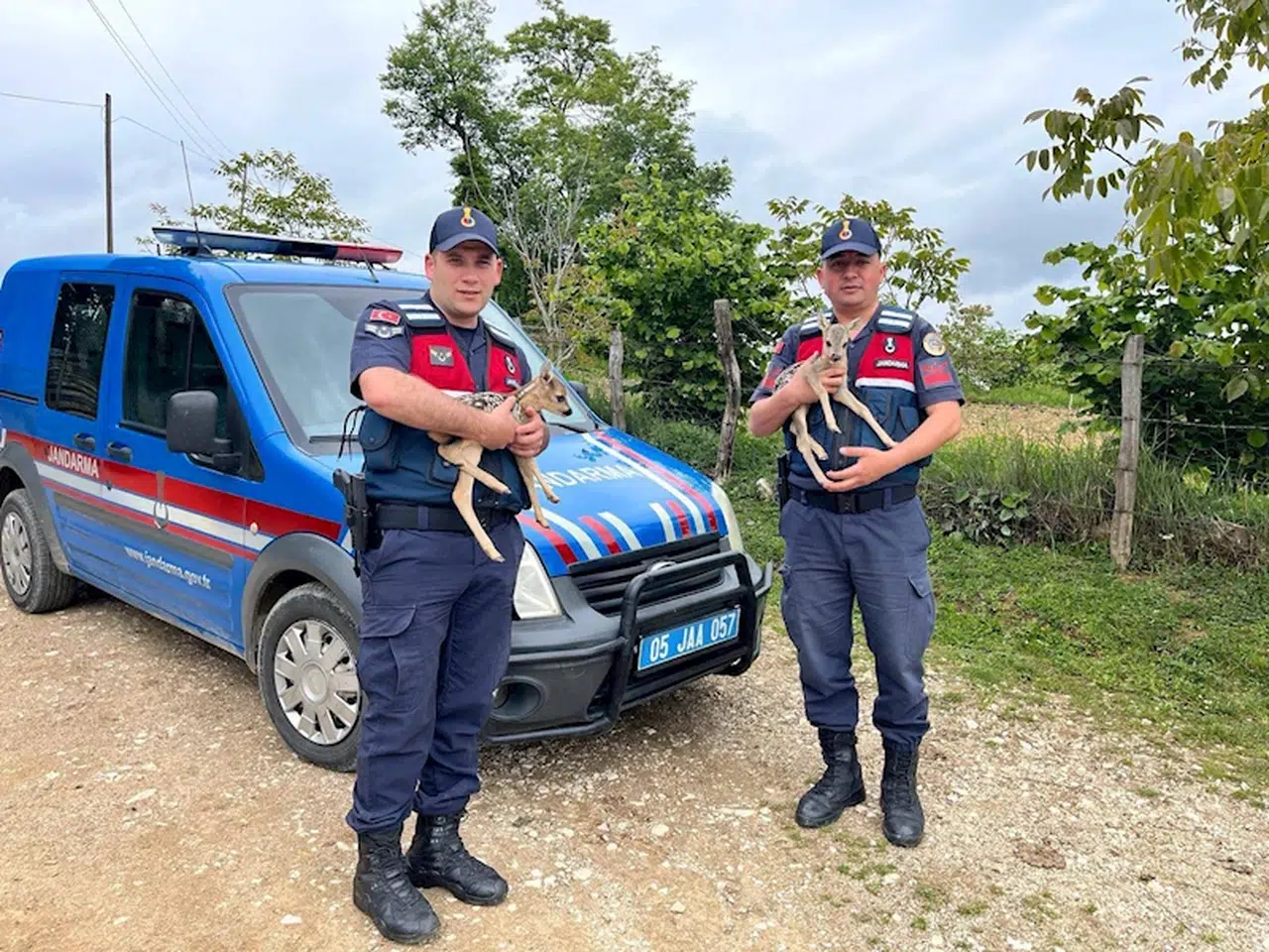 Amasya'da jandarmanın bitkin halde bulduğu 2 yavru karaca, tedaviye alındı